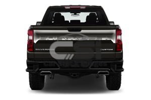 2021 Chevrolet Silverado 1500 Double Cab Custom Trail Boss 4 Door Trucks Rear view