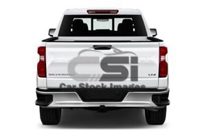 2021 Chevrolet Silverado 1500 LTZ 4 Door Trucks Rear view