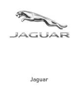 jaguar 1